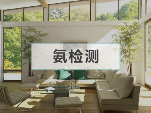 氨濃度檢測