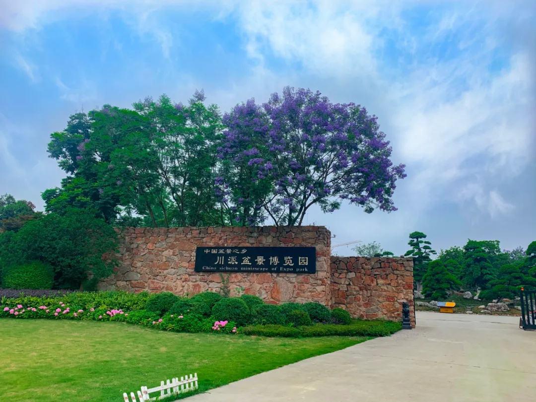 川派盆景博覽園竣工驗(yàn)收.jpg